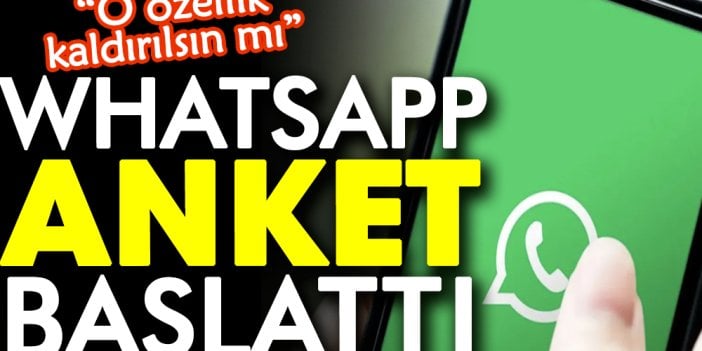 WhatsApp anket başlattı: O özellik kaldırılsın mı