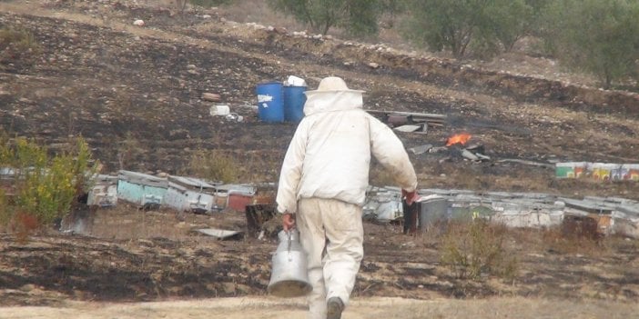 Antalya'da arı kovanları alev alev yandı