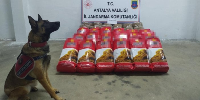 Yolcu otobüsünde 150 kilo kaçak tütün ele geçirildi