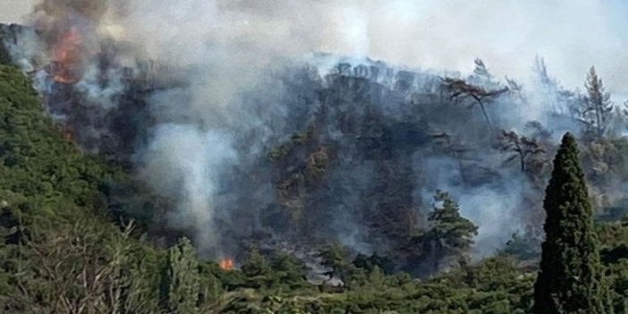 Ormanlık alana yıldırım düştü, yangın çıktı! Havadan müdahale sürüyor