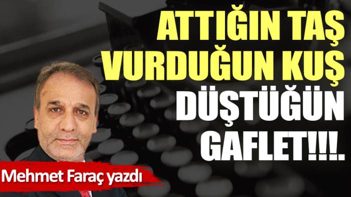 Attığın taş, vurduğun kuş, düştüğün gaflet!!!.