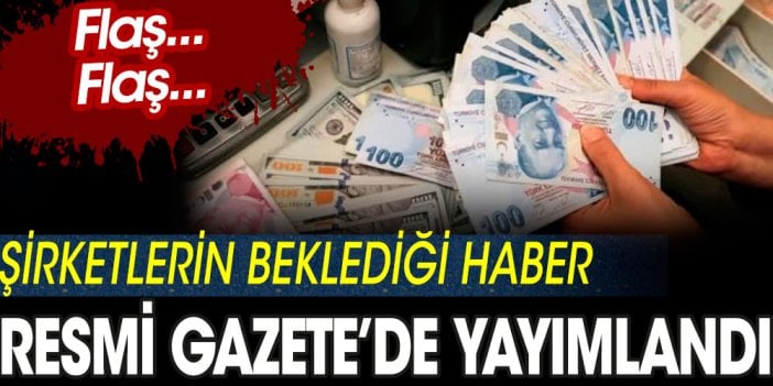 Şirketlerin beklediği haber Resmi Gazete 'de yayımlandı!