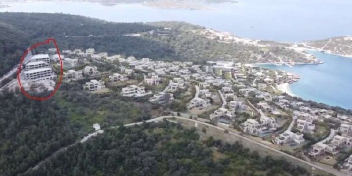 Ormanlar göz göre göre talan ediliyor. Bodrum'da kaçak yapılaşmayı patladı. İmar affı kurnazları pusuya yattı