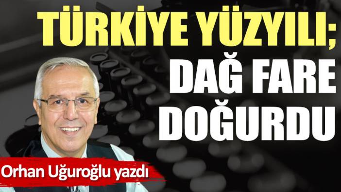 Türkiye Yüzyılı; Dağ fare doğurdu