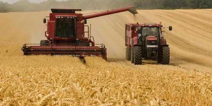 Ruslar anlaşmadan çekildi zamlar yola çıktı. Buğday fiyatları fırladı