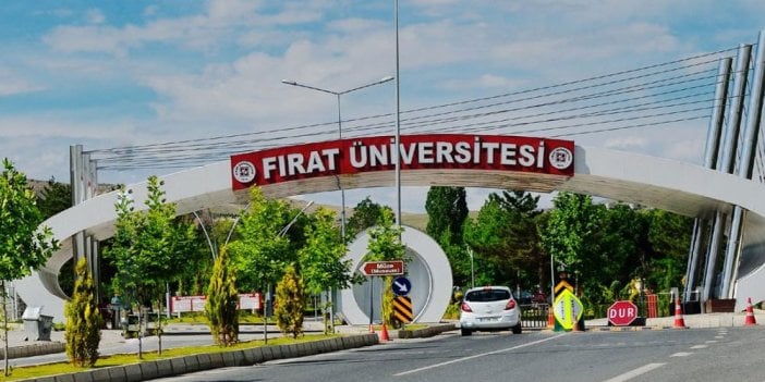 Fırat Üniversitesi Öğretim üyesi alım ilanına çıktı