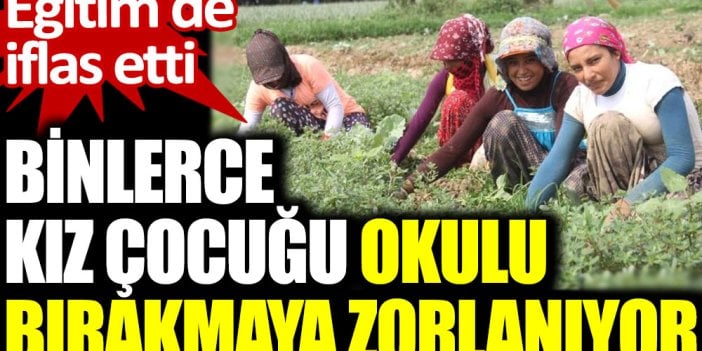 Binlerce kız çocuğu okulu bırakmaya zorlanıyor