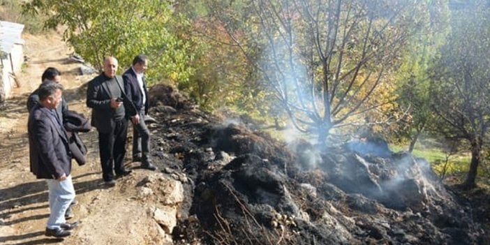 Kahreden yangın! 7 bin bağ ot ve 13 ton saman kül oldu