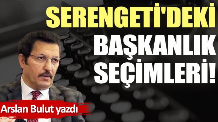 Serengeti'deki başkanlık seçimleri!