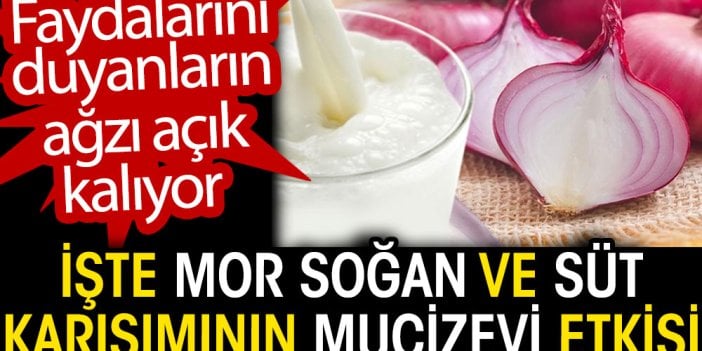 İşte mor soğan ve süt karışımının mucizevi etkisi. Faydalarını duyanın ağzı açık kalıyor