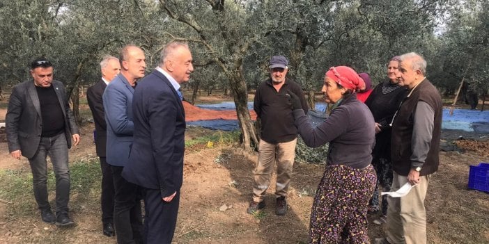 Orhangazili zeytin üreticisi derdini, İYİ Partili Tatlıoğlu’na anlattı