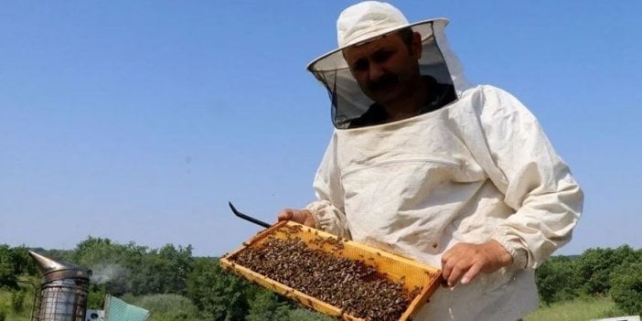 Türkiye sahte bal cenneti oldu. Sahte bal nasıl anlaşılır