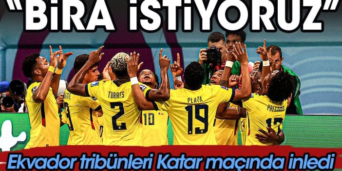 Katar'da tribünlerde "Bira istiyoruz" tezahüratları