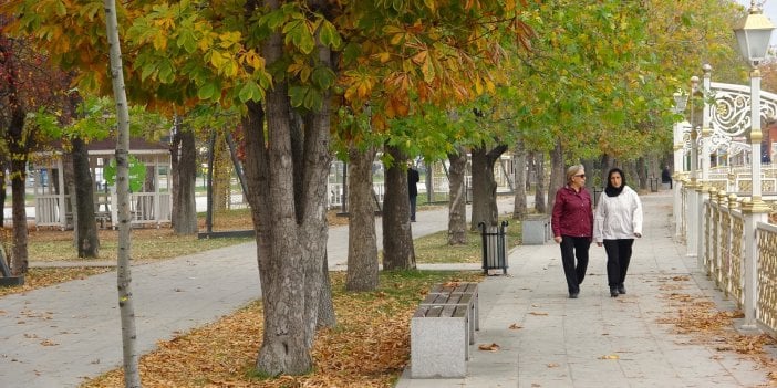 Tokat'ta ilginç yasak: Süpürülmesi yasaklandı