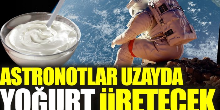 Astronotlar uzayda yoğurt üretecek