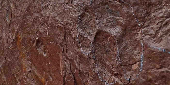 Çin’de dinozor ayak izleri bulundu