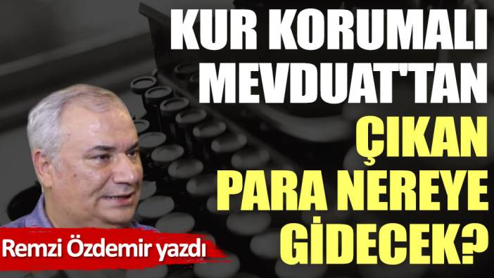 Kur Korumalı Mevduat'tan çıkan para nereye gidecek?