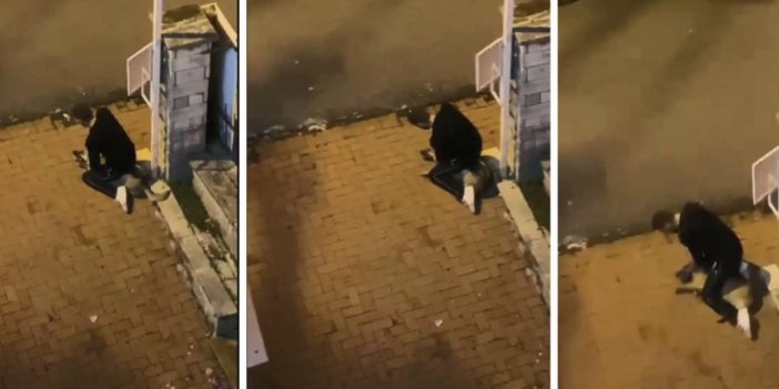 Sarıyer’de köpeği boğmaya çalışan şüpheli yakalandı