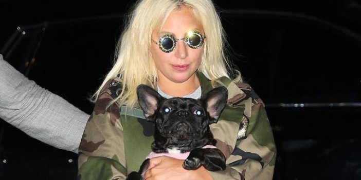 Lady Gaga’nın köpeklerini kaçıran saldırgana 21 yıl hapis cezası.