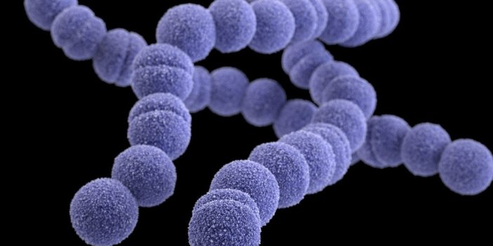 9 kişi bakteriyel enfeksiyon öldü