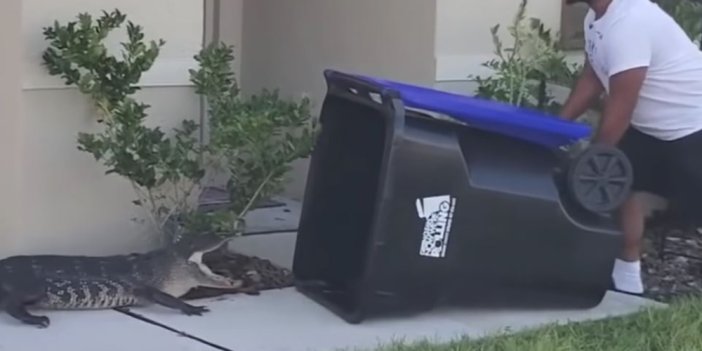 Bahçesine giren timsahı çöp kutusuyla yakaladı