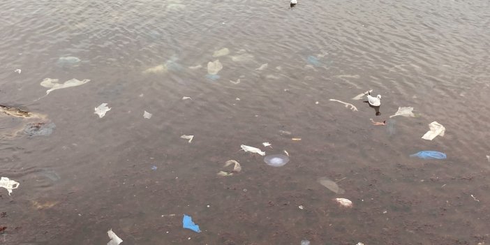 Lodos vurdu deniz kirliliği ortaya çıktı. Sahili plastik atıklar kapladı