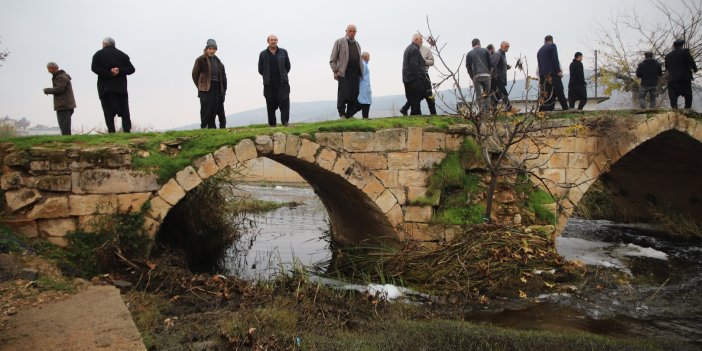 Gaziantep'te deredeki balık ölümleri vatandaşları tedirgin etti