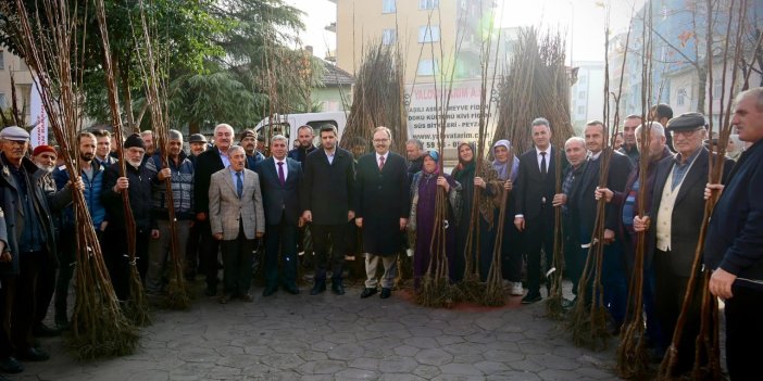 Çiftçilere 53 bin adet fidan dağıtıldı