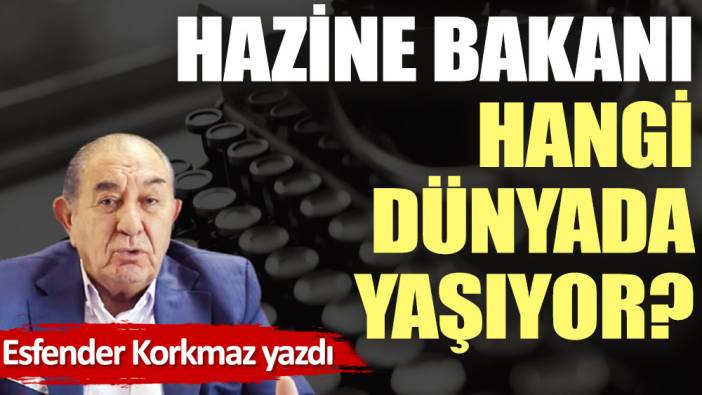 Hazine Bakanı hangi dünyada yaşıyor?