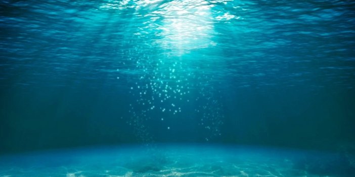 Okyanuslarda kaydedilen gizemli ses kayıtlarının sırrı çözüldü