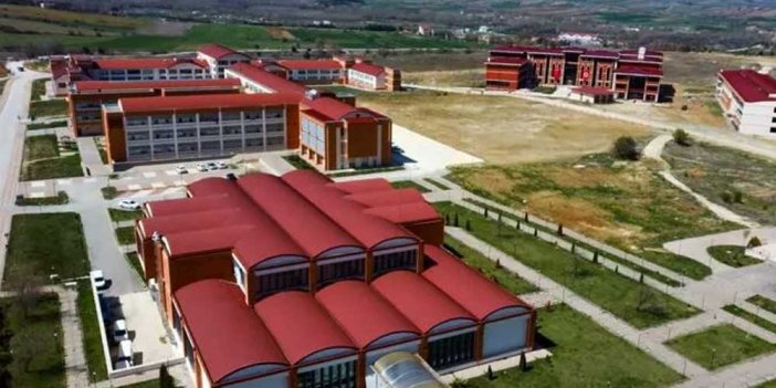 Kastamonu Üniversitesi Öğretim Üyesi alımı yapacak