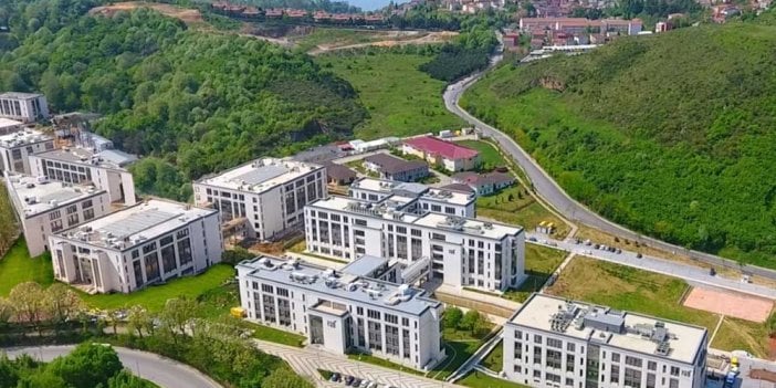 Türk-Alman Üniversitesi 2 Öğretim Görevlisi alacağını duyurdu