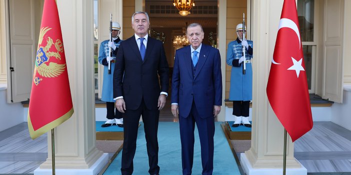 Erdoğan, Karadağ Cumhurbaşkanı Djukanovic ile görüştü