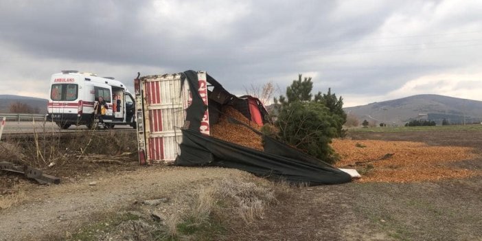 Talaş yüklü kamyon devrildi, sürücüsü yaralandı