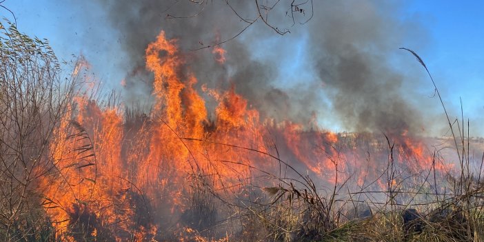 Antalya’da sazlık alanda yangın