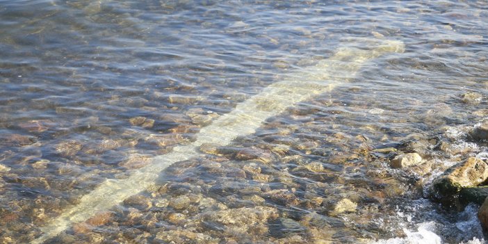 Sular 4 metre çekilince ortaya çıktı. Sahile gidenler fark etti