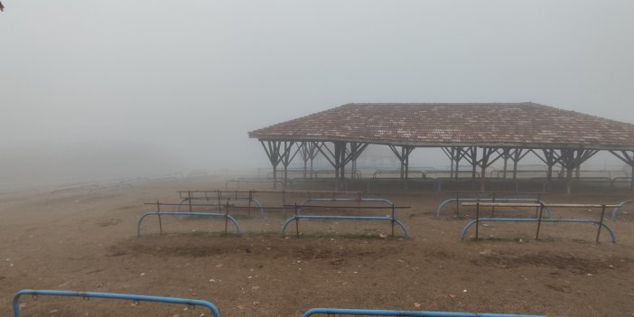 Kastamonu’da sis ve soğuk hava etkili oldu