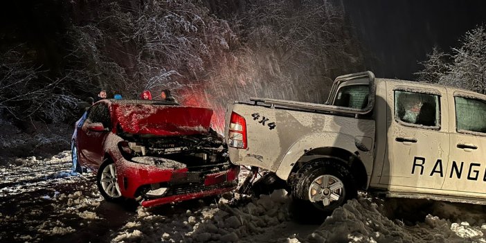 Artvin'de aniden bastıran kar, kazalara neden oldu