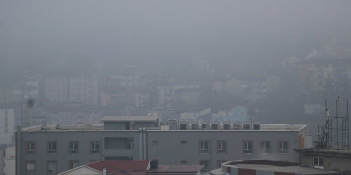 Düzce ve Karabük'te sis ulaşımı olumsuz etkiledi