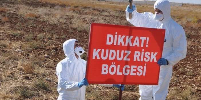 Tunceli'nin Hozat ilçesi kuduz vakası nedeniyle karantinaya alındı