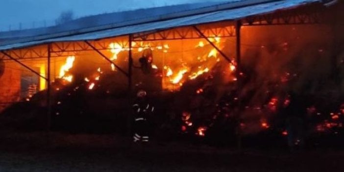 Tekirdağ'da çiftlik yandı hayvanlar telef oldu