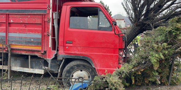 Canlı hayvan taşıyan kamyon ağaca çarptı: 2 yaralı