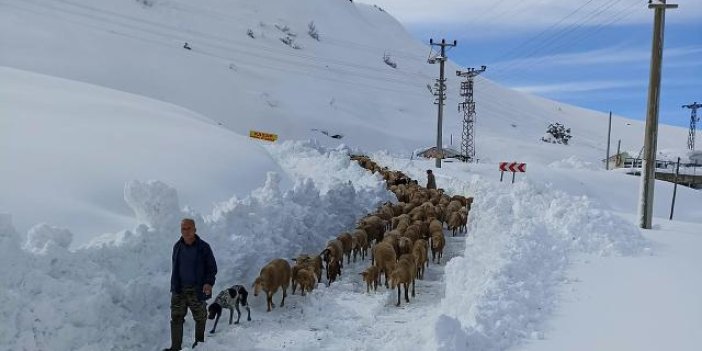 Yaylada koyunlarıyla birlikte 3 gün mahsur kalan aileyi ekipler kurtardı