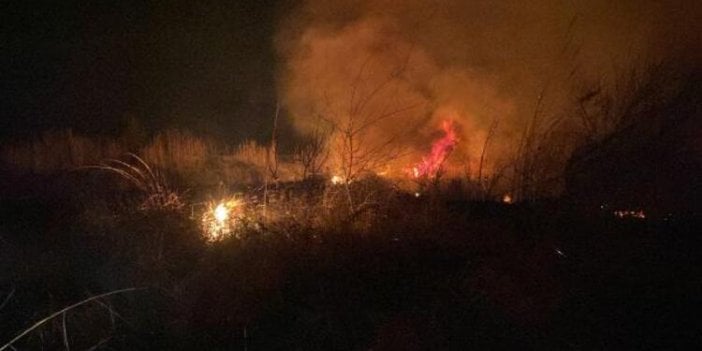 Kuş cenneti cehenneme döndü. Çok sayıda hayvan öldü