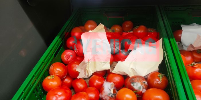 Çürük ve küflü domatesler bile ayıklanmıyor: Rezilliğe bakın
