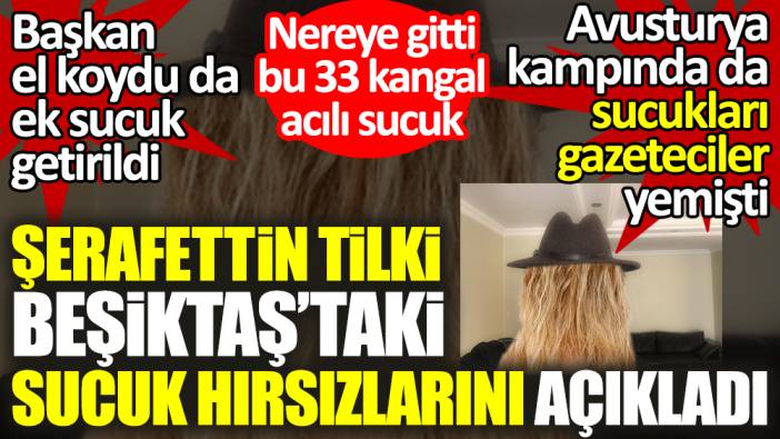 Beşiktaş'taki sucuk hırsızlarını açıkladı. Nereye gitti 33 kangal acılı sucuk? Şerafettin Tilki yazdı