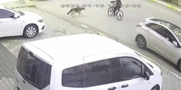 Bir başıboş sokak köpeği vakası daha: 11 yaşındaki bisikletli çocuğa otomobil çarptı