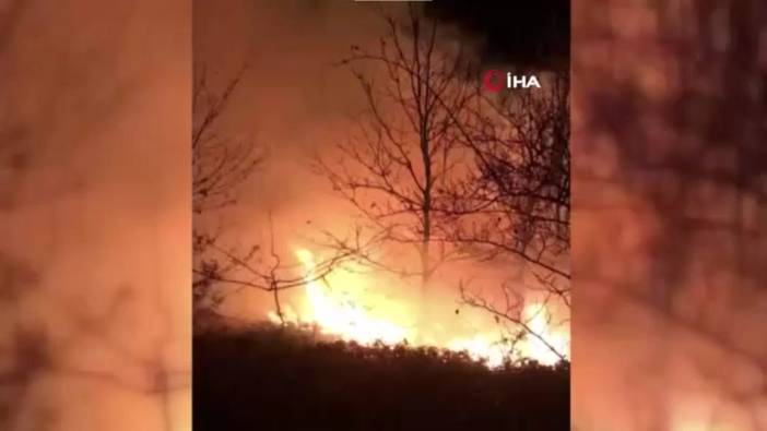 Sakarya’da orman yangını