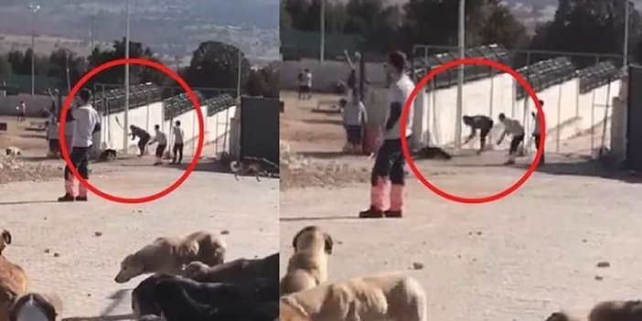 Konya'da köpeği eziyet ederek öldürenler iyi hal indirimi