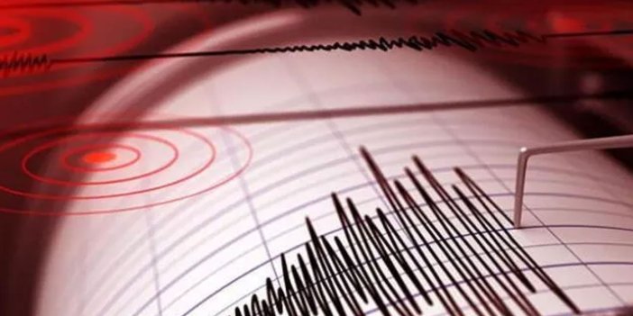 Japonya'da 4,9 büyüklüğünde deprem